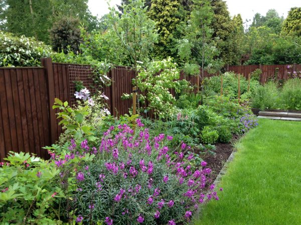 garden design leicestershire
